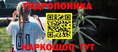 Альфа ПВП Гай