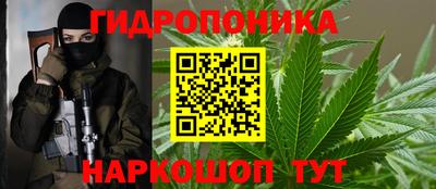 дмт Гусев