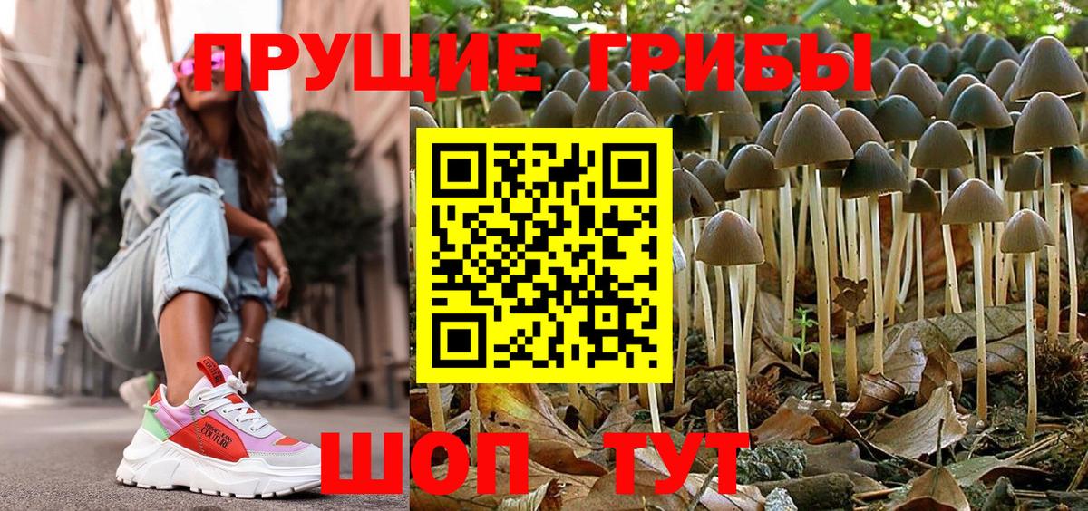 Галлюциногенные грибы Psilocybe  Псилоцибиновые грибы Psilocybine cubensis  Кудрово  Вход с VPN 